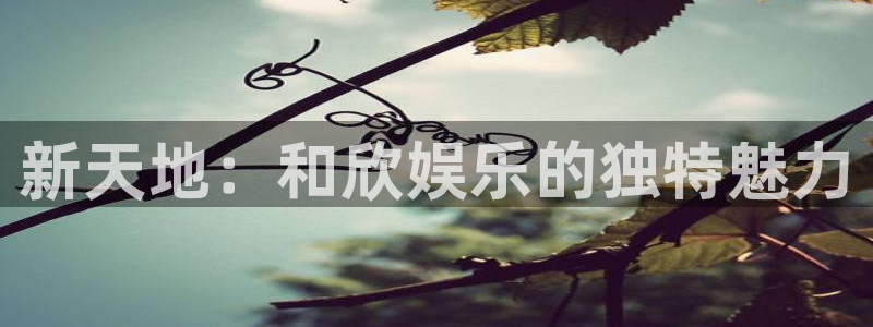 one游戏皇马官网：新天地：和欣娱乐的独特魅力