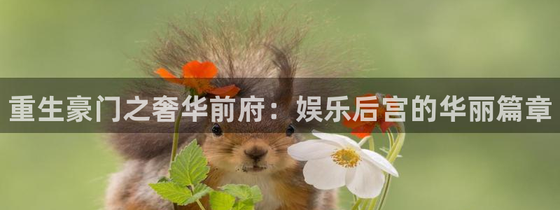 one游戏平台官网入口：重生豪门之奢华前府：娱乐后宫的华丽篇章