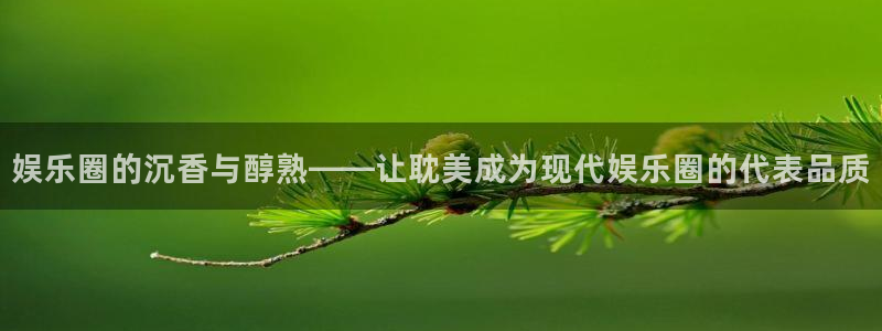 one游戏体育平台：娱乐圈的沉香与醇熟——让耽美成为现代娱乐圈的代表品质