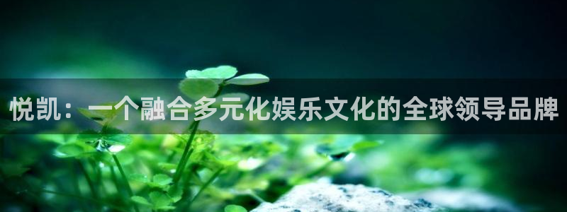 one游戏平台官网入口：悦凯：一个融合多元化娱乐文化的全球领导品牌