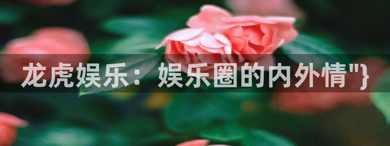 one游戏网站：龙虎娱乐：娱乐圈的内外情\