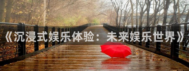 one游戏：《沉浸式娱乐体验：未来娱乐世界》