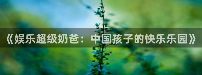one游戏皇马官网：《娱乐超级奶爸：中国孩子的快乐乐园》