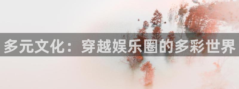 one游戏平台官网入口：多元文化：穿越娱乐圈的多彩世界