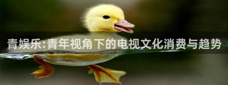 one游戏体育平台：青娱乐:青年视角下的电视文化消费与趋势