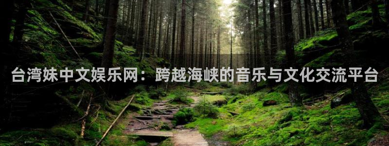 one游戏：台湾妹中文娱乐网：跨越海峡的音乐与文化交流平台