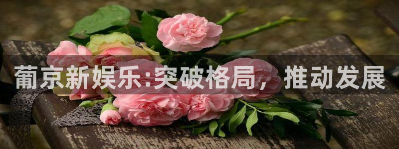 one游戏网站：葡京新娱乐:突破格局，推动发展