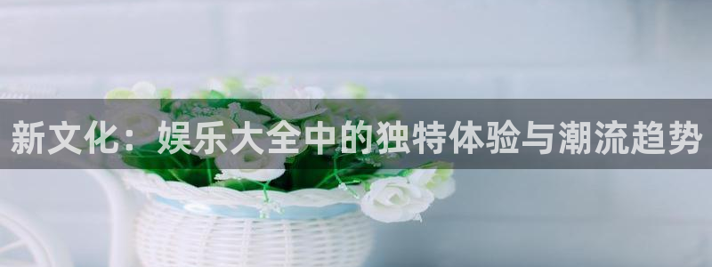 one游戏平台官网入口：新文化：娱乐大全中的独特体验与潮流趋势