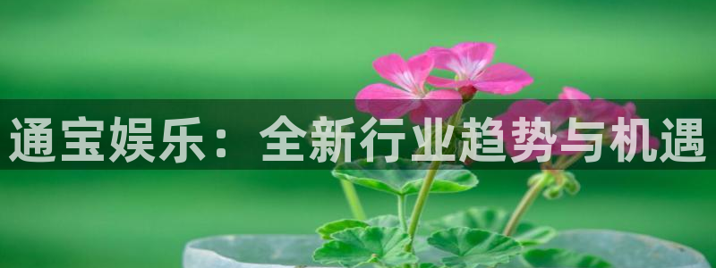 one游戏平台官网入口：通宝娱乐：全新行业趋势与机遇